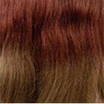 Dream Hair EL Wonder BIBA 18.5 _ Kunsthaar Ponytail - Image 16