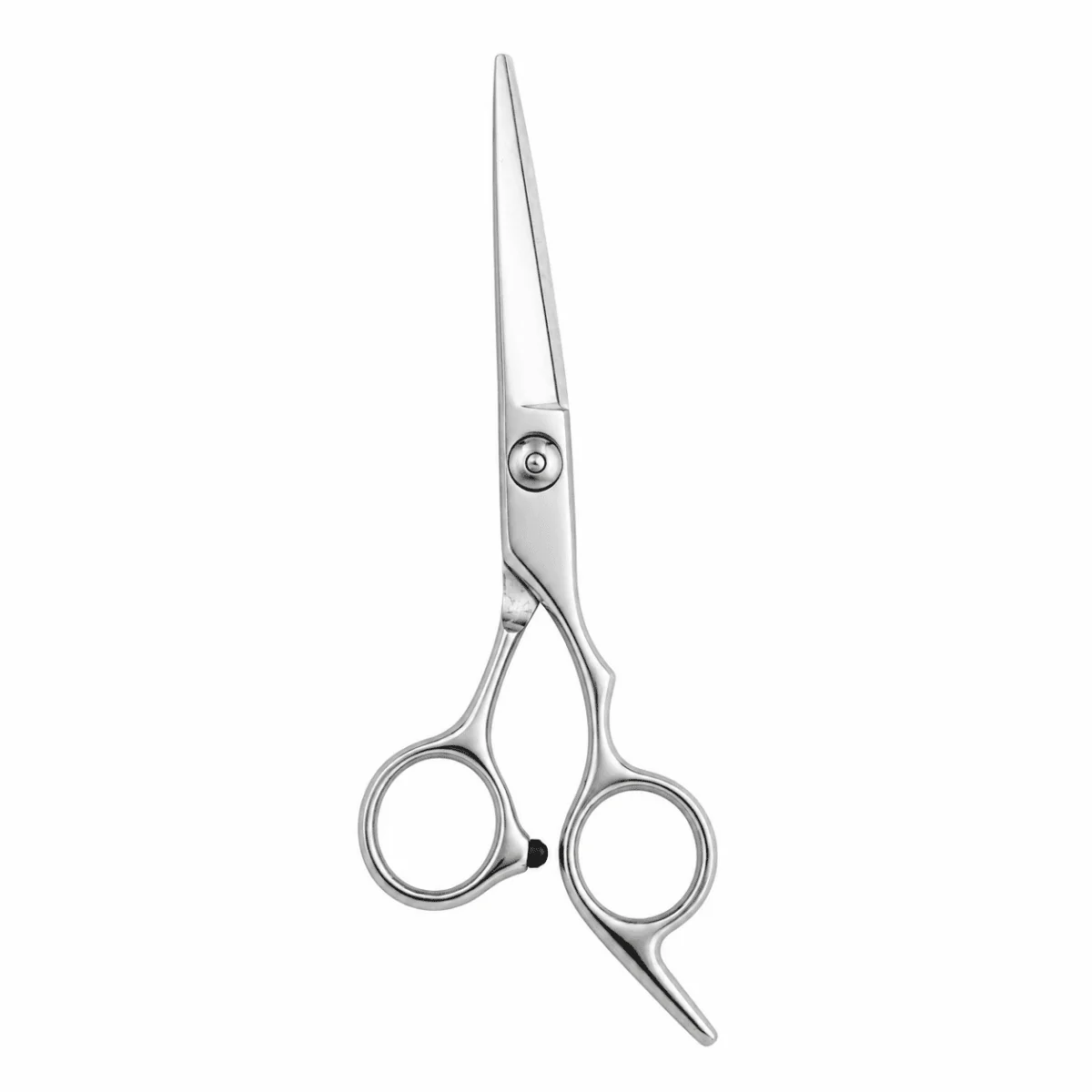 Dreamfix Stainless Steel Cutting scissors 6 Inch - Image 2