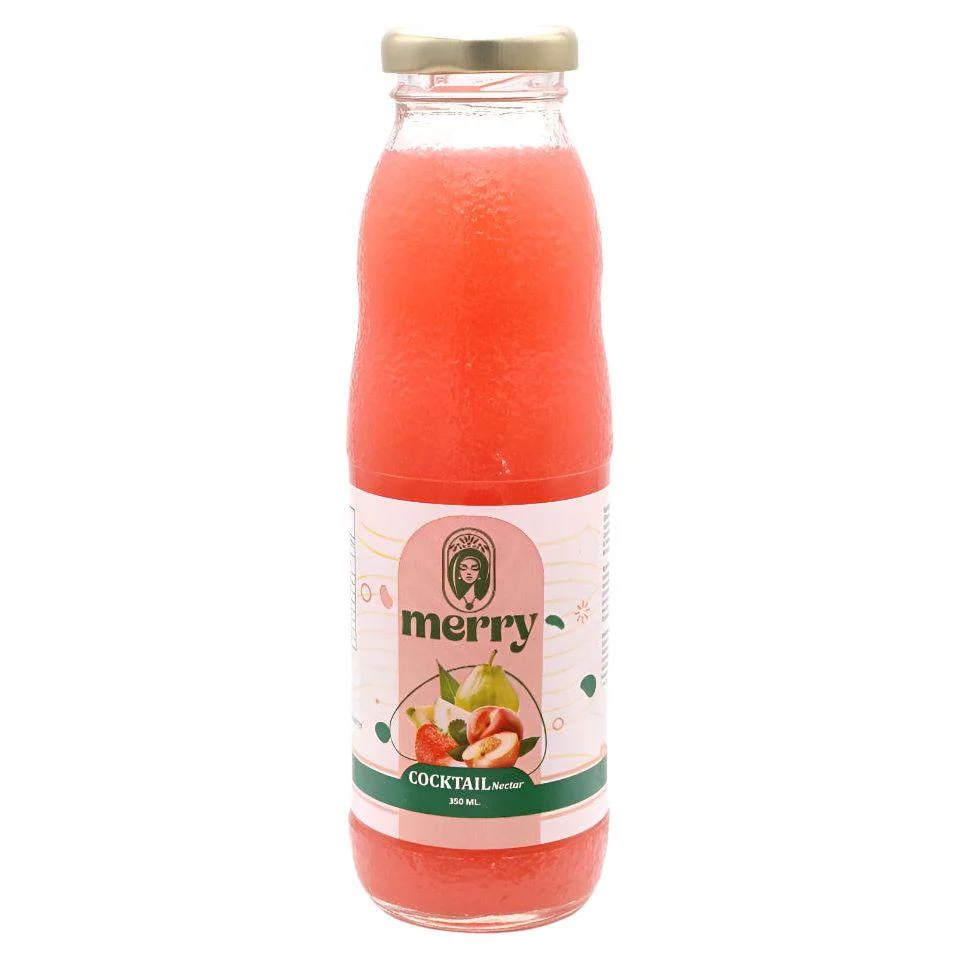 Merry Fruit Juices (Mango/Guava/Cocktail) 350ml - Image 3